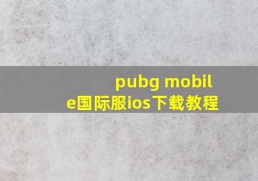 pubg mobile国际服ios下载教程